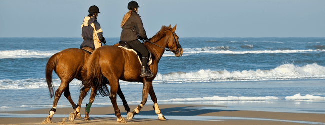 Lizzie Smith Hypnotherapy - hypnotherapy and horse riding
